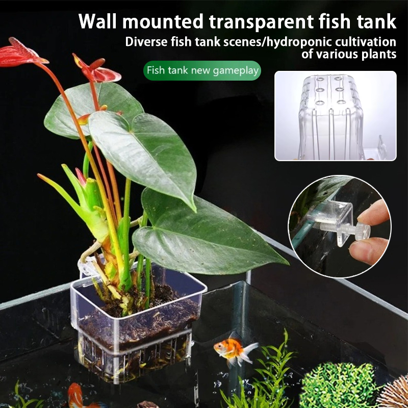 Aquarium Fish Background - Aquarium Hanging Planter Cups Wall Mounted