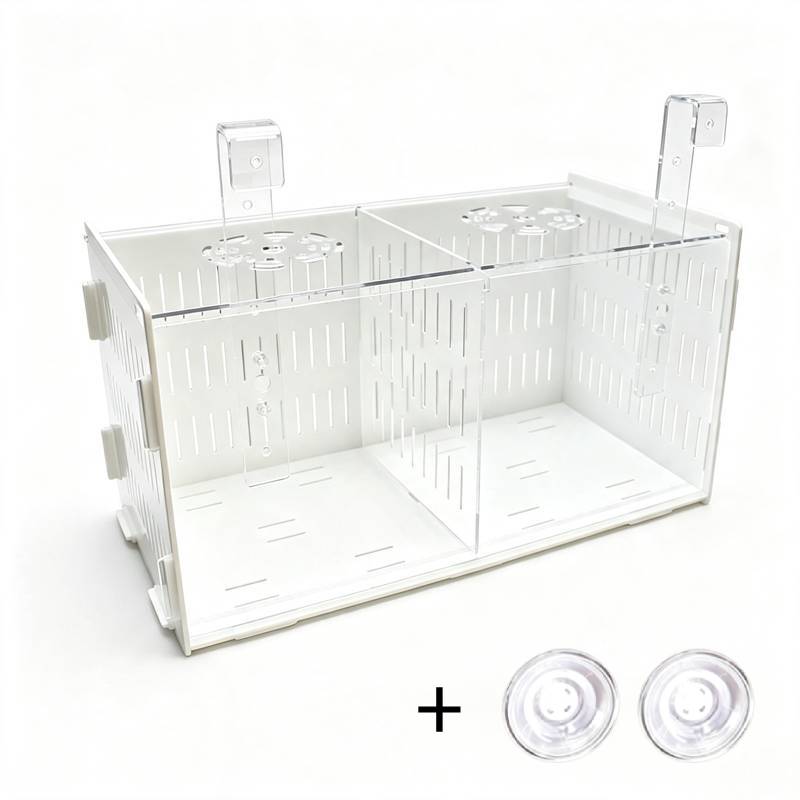 Multifunctional Aquarium Fish  - Aquarium Fish Parrot review and price