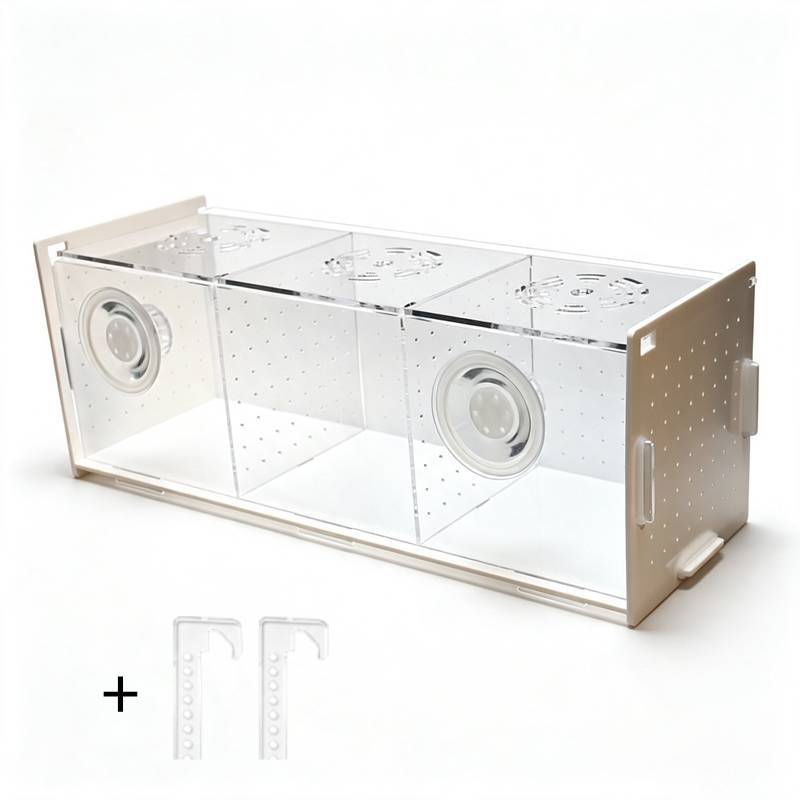 Multifunctional Aquarium Fish  - Aquarium Fish Parrot review and price