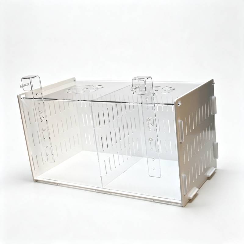 Multifunctional Aquarium Fish  - Aquarium Fish Parrot review and price