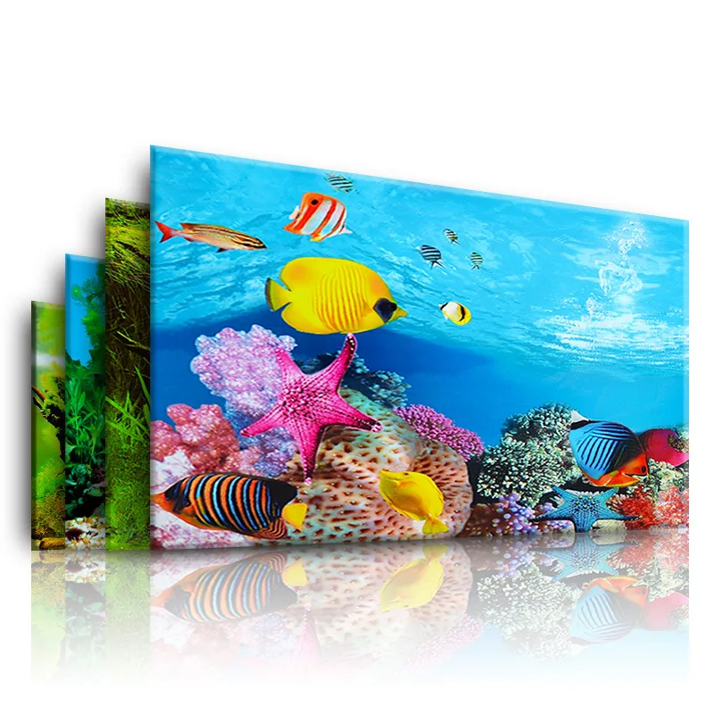 Background for Aquarium 3d  St - Aquarium Fish Background review and price