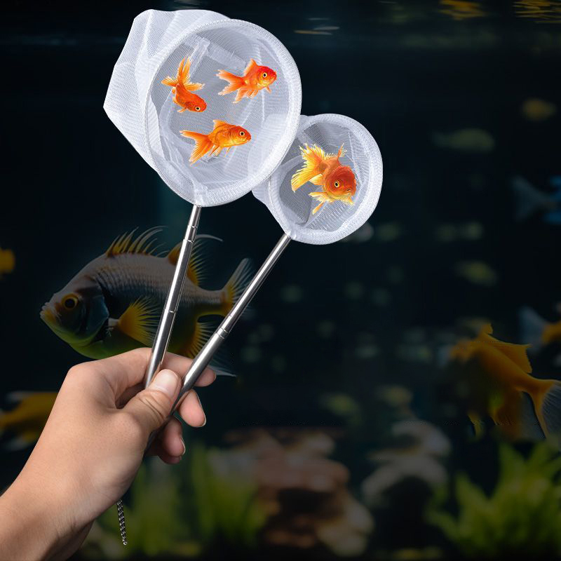 Aquarium Fish Fishing Net Stai - Aquarium Fish Net Small review and price