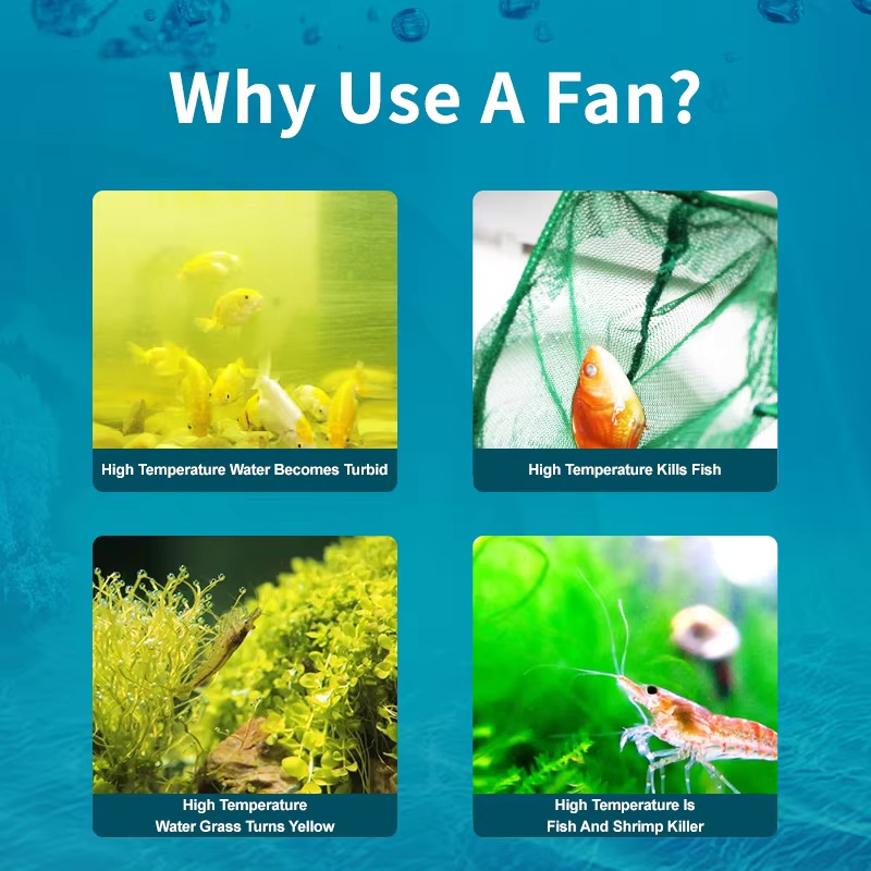 Jebao Jecod ACF Series Aquariu - Fish Co Aquarium review and price