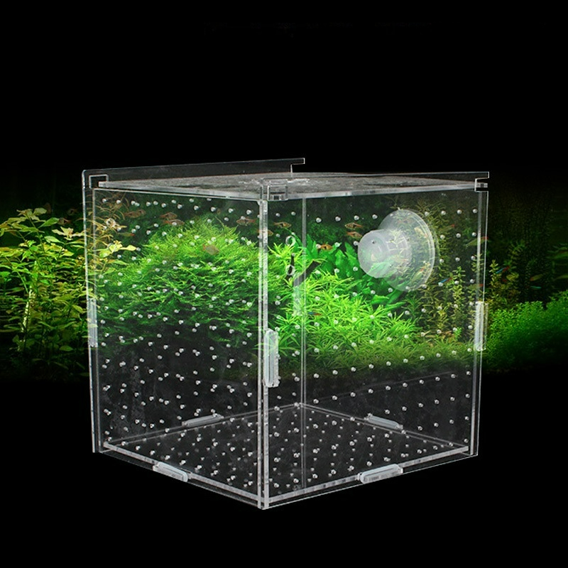 Acrylic Isolation Box Fish Tan - Aquarium Fish Net Small review and price