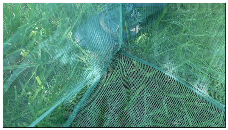 Fishing 3mm Stake Small Mesh C - Aquarium Fish Net Small review and price