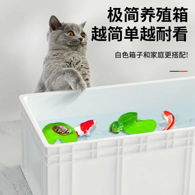 A  Turtle tank big turtle prof - Fish Co Aquarium review and price