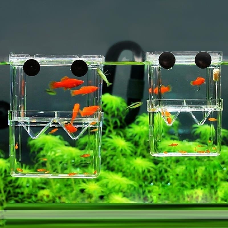 Multifunctional Fish Aquarium  - Aquarium Fish Background review and price