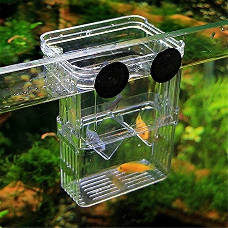 Multifunctional Fish Aquarium  - Aquarium Fish Background review and price
