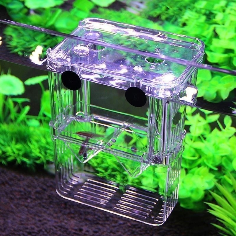 Multifunctional Fish Aquarium  - Aquarium Fish Background review and price