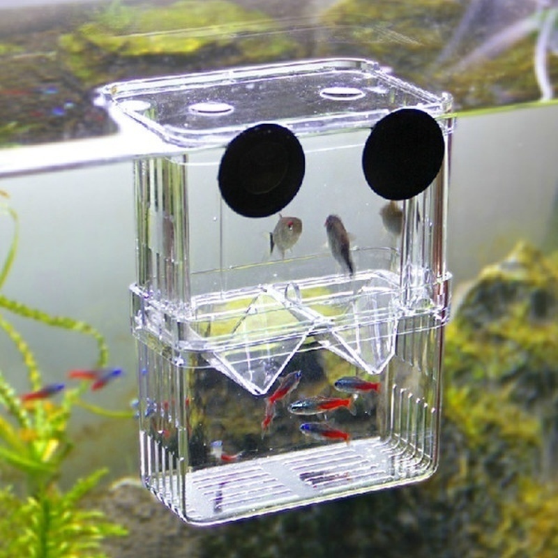 Multifunctional Fish Aquarium  - Aquarium Fish Background review and price
