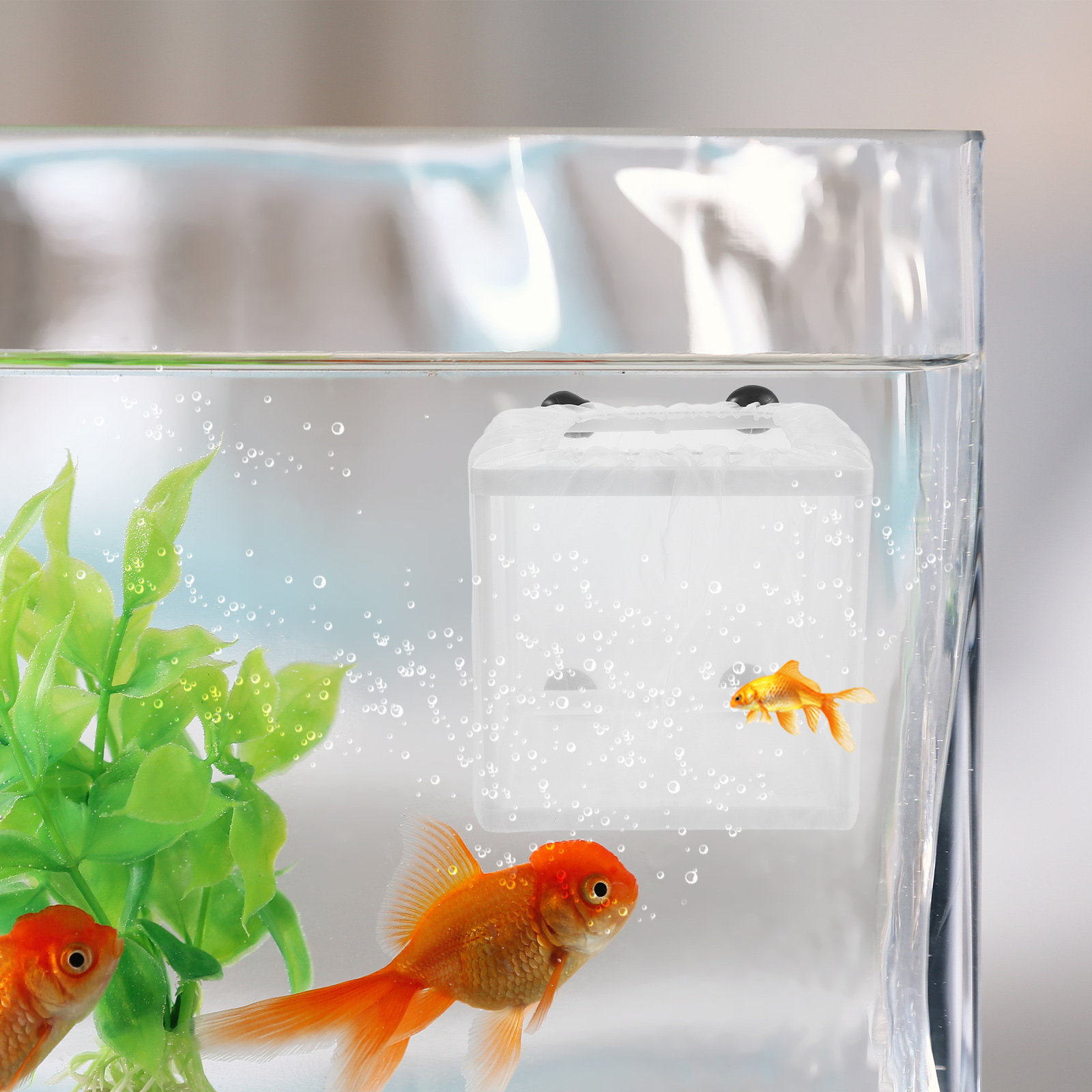 2Pcs Fish Breeding Isolation B - Aquarium Fish Net Small review and price