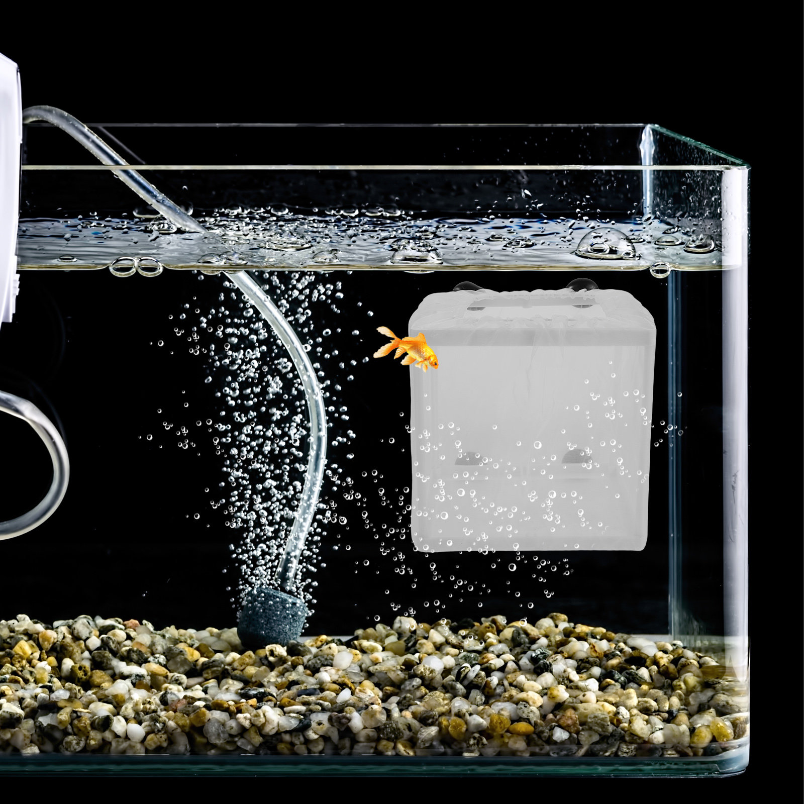 2Pcs Fish Breeding Isolation B - Aquarium Fish Net Small review and price