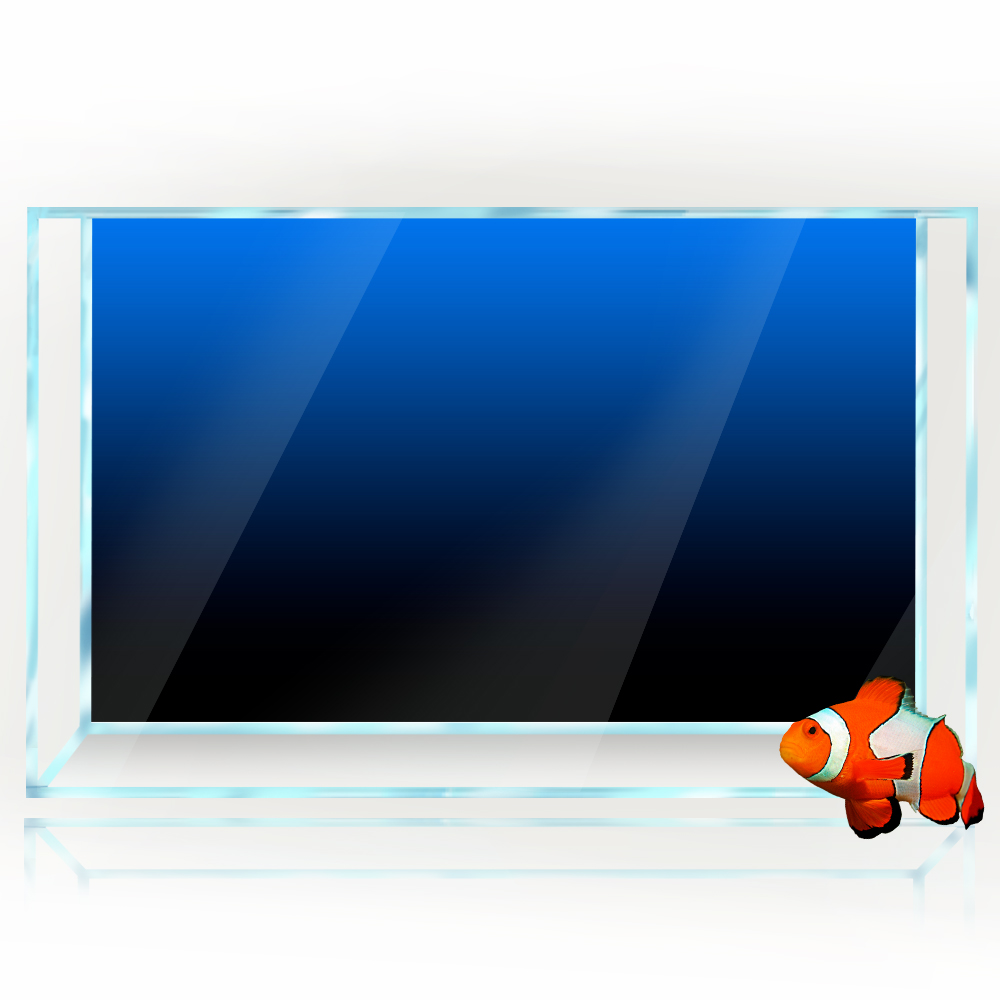 Fish Tank Background Sticker B - Aquarium Fish Background review and price