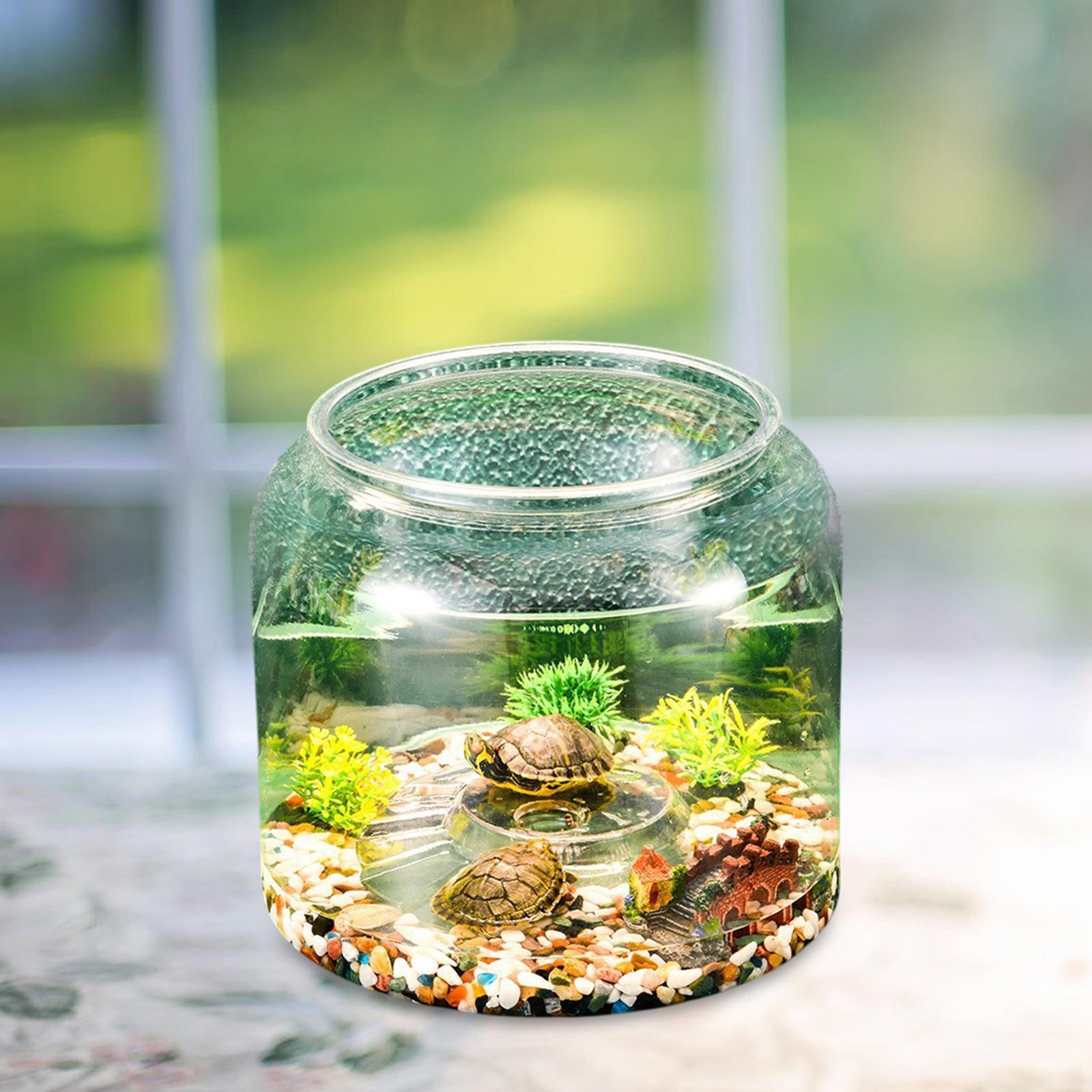 Turtle Tank Tabletop Reptile H - Draw Fish Aquarium review and price