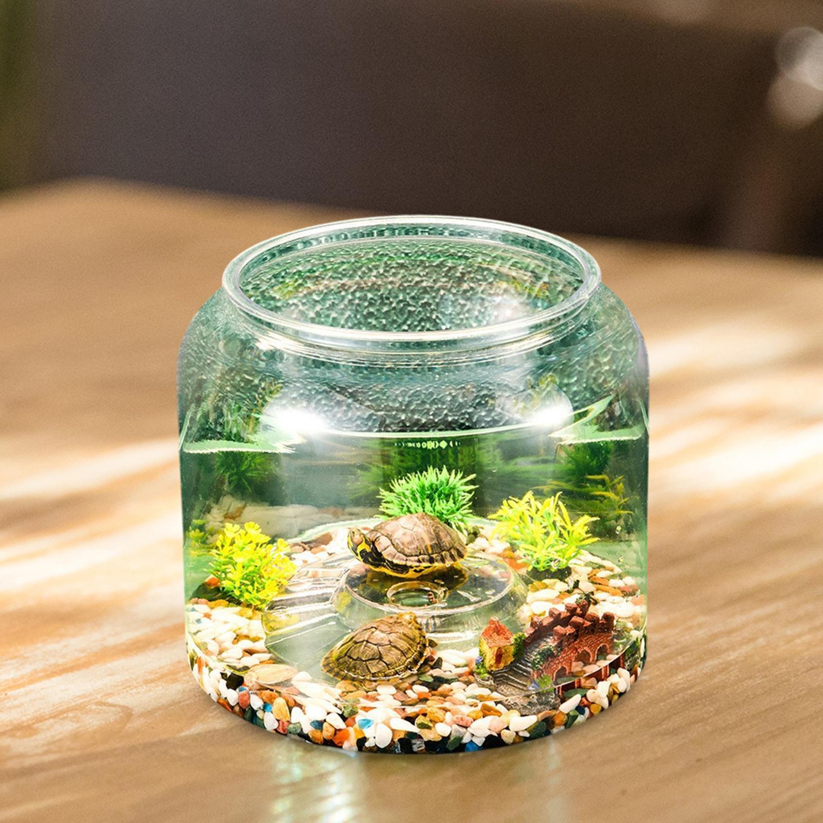 Turtle Tank Tabletop Reptile H - Draw Fish Aquarium review and price