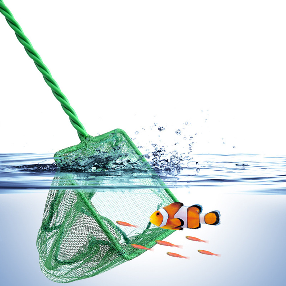 2Pcs Portable Fish Net Aquariu - Aquarium Fish Net Small review and price