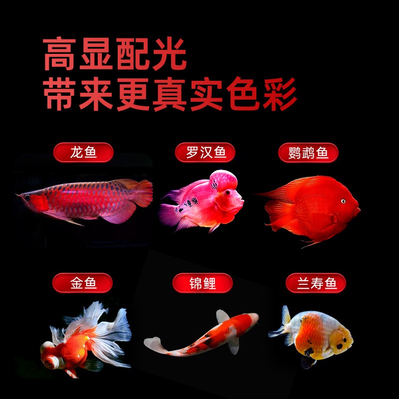 Waterproof Tri‑Color LED Aquar - Aquarium Fish Parrot review and price