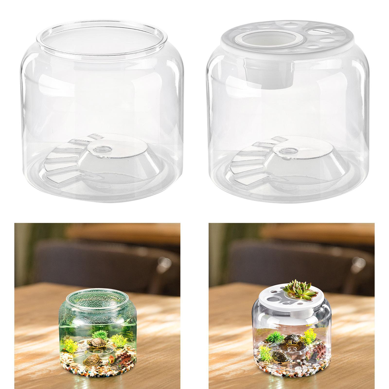 Turtle Container High Capacity - Draw Fish Aquarium review and price