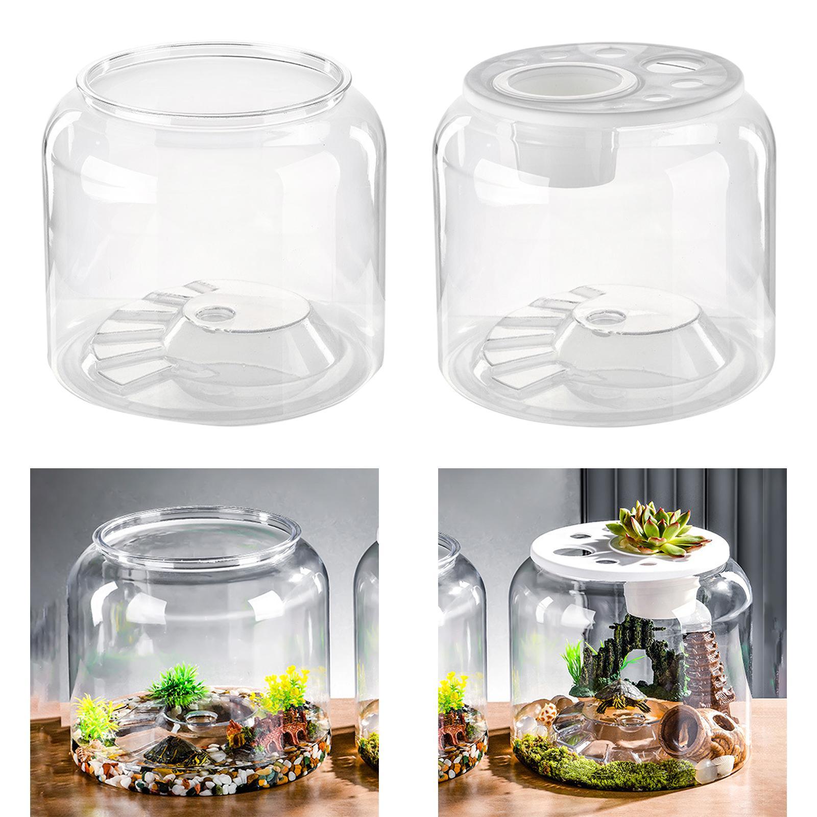 Turtle Container High Capacity - Draw Fish Aquarium review and price